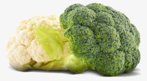 Cauliflower-broccoli - Цветная Капуста Картинки На Белом Фоне