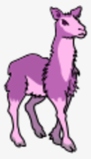Llama - Clip Art