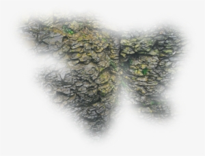 06 Feb 2009 - Dundjinni Rock