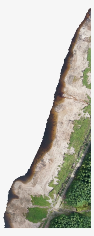 Kml Href, C00 - Sea Lettuce