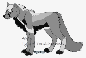 Llama - Wolf