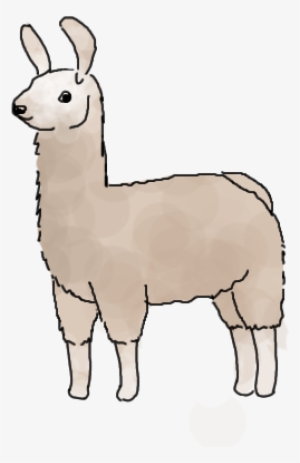 Related Image No Probllama Love Pinterest - Llama