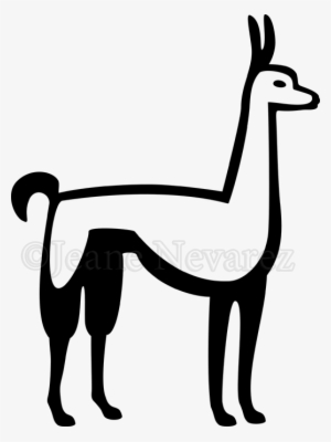 Llama - Stock Photography