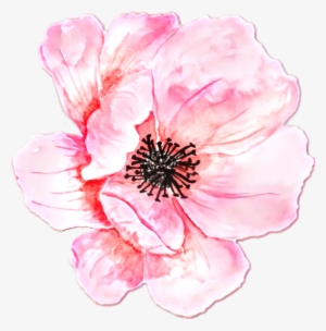 Fiore Watercolor Pink @roxxoblog - Clip Art