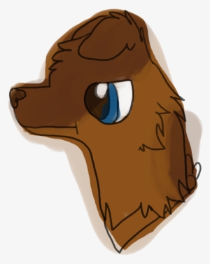 Follow My Blog - Companion Dog