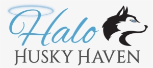 Thirstystone University Of Washington Collegiate Coaster