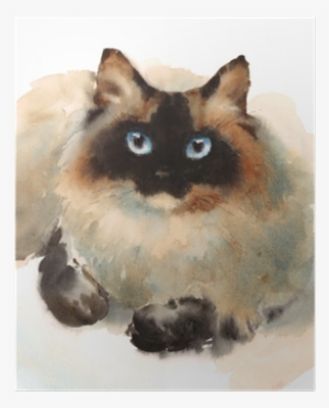 Watercolor Ragdoll Siamese Cat Pet Portrait Animal - Siamese Cat Watercolor