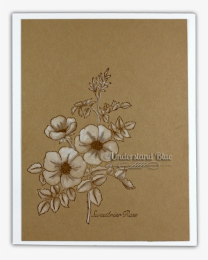 And Entirely Unrelated To That, A Frosted Watercolor - Hawaiian Hibiscus