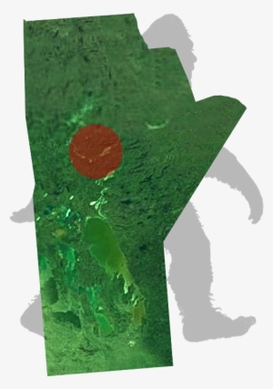 Manitoba-bigfoot - Illustration