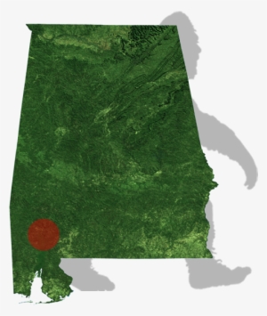 Alabama Bigfoot Map - Christmas Tree