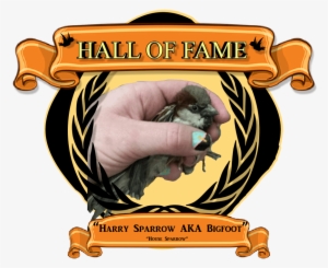 Harry The Mythical Sparrow Aka “bigfoot” - Cooper's Hawk