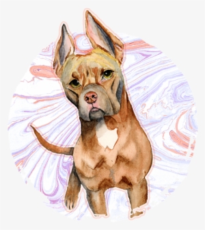 Click And Drag To Re-position The Image, If Desired - Zazzle Bunny Ears 2 Cuff Links