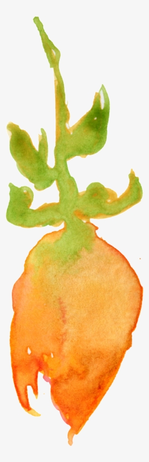 Crystal Orange Flower Transparent Decorative - Watercolor Paint