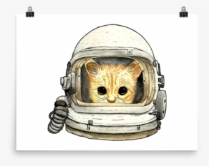 Space Kitteh No - Cat