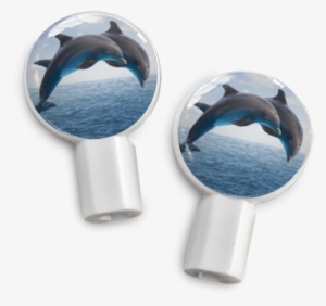Pair Of Apple Earbud Covers - Dolphins: Voices In The Ocean By Susan Casey