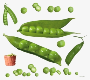 Pea Icon Clipart Web - Peas Png
