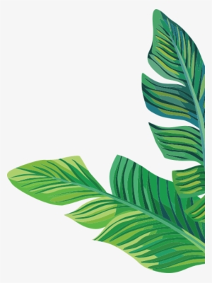 Functional Group Circuit Classes - Banana Leaf Clip Art Png