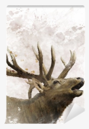 Art Print: Sunnys's Bull Elk Watercolor, 30x30cm.