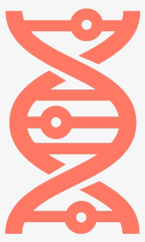 Dna - Graphic Design