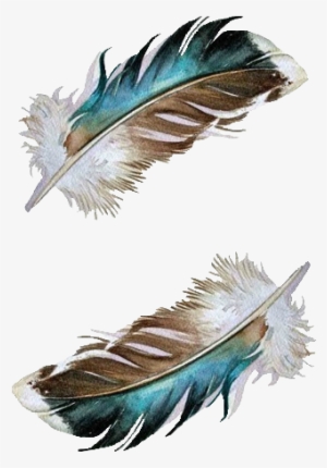 Duck Feathers By Jody Edwards - Mallard Duck Feather Tattoo
