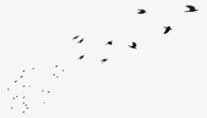 Flying Bird Png Image - Cve:png