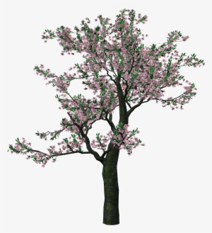 Large Spring Tree Clipart - Spring Trees Png