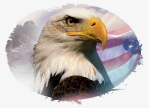 Zjadpop - Beautiful America - Trade Paperback