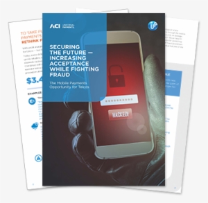 Detecting Fraud - Fraud