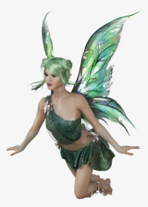 Fairy