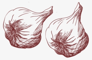 Bouillabaisse Drawing Garlic - Garlic Vector Png