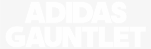 Boys Info - Adidas Gauntlet Silver Logo