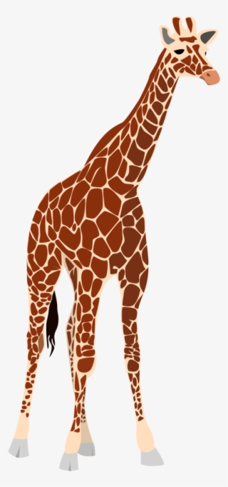 Another Giraffe Png Images 281 X