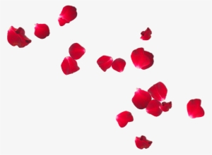 Rose Petals Png - Heaven Scent: Love Letters From Beyond [book]