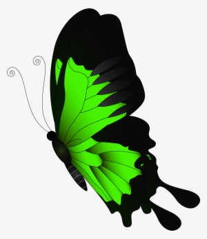 Green Butterfly Clip Art - Green Butterfly Png