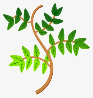 Picture Library Library Leaves And Branches Big Image - Branches Of Plant Clipart