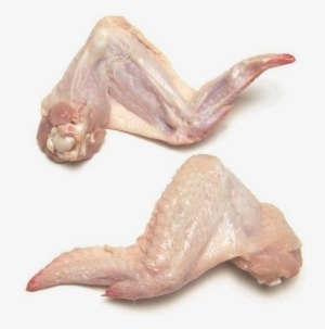 Visit - Chicken Leg And Wing