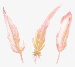 Feather Watercolor Pink Gold Watercolorfeather Sticker - Watercolor Painting