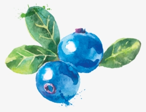 Attainable - Water Colour Blueberry Transparent Png