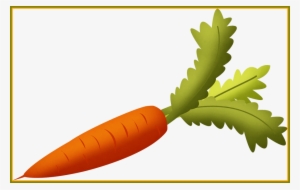 Fascinating Carrot With Green Leaves Clipart Png For - Transparent Transparent Background Carrot