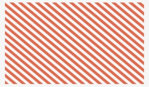 Adizero Crazy Light Black