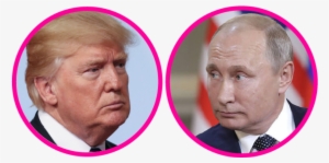 Trump's Businesses Went Bankrupt So Many Times In The - Trump Golf Course Shooter