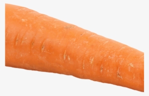 Big Carrot Png Image - Portable Network Graphics