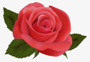 Red Rose Png Image Clipart - Imagens Coloridas De Flor