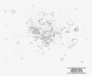 Shattering Glass Png Banner Royalty Free Download - Shattered Glass