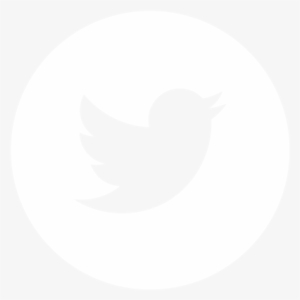 White Social Icons-06 - Twitter Logo Vector 2018