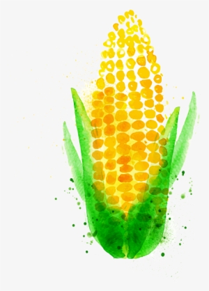 Chili Con Carne Watercolor Painting Maize Vegetable - Corn Watercolor