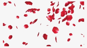 Rose Petals Png File - Rose Petals Transparent Png