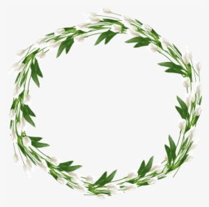 Frames Plant Illustration, Watercolor Illustration, - Corona De Olivo .png