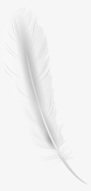 White Feather Clip Art
