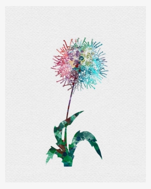 Clipart Transparent Stock Dandelions Drawing Watercolor - Dandelion Watercolor